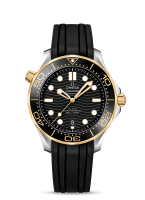 Omega Seamaster Diver 300m Co-axial Chronometer 42mm 210.22.42.20.01.001