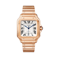 Cartier Santos De Cartier 40 WGSA0018