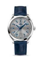 Omega Seamaster Aqua Terra 150m Co-axial Master Chronometer 41mm 220.13.41.21.06.001