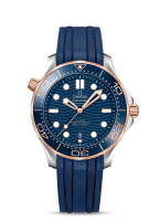 Omega Seamaster Diver 300m Co-axial Chronometer 42mm 210.22.42.20.03.002