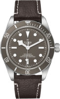 Tudor Heritage Black Bay 39mm M79010SG-0001