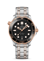 Omega Seamaster Diver 300m Co-axial Chronometer 42mm 210.20.42.20.01.001