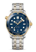 Omega Seamaster Diver 300m Co-axial Chronometer 42mm 210.20.42.20.03.001