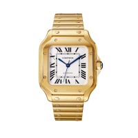 Cartier Santos De Cartier 35 WGSA0030