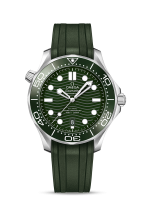 Omega Seamaster Diver 300m Co-axial Master Chronometer 42mm 210.32.42.20.10.001
