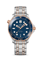 Omega Seamaster Diver 300m Co-axial Chronometer 42mm 210.20.42.20.03.002