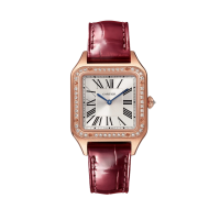 Cartier Santos Dumont Small 27 WJSA0017