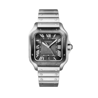 Cartier Santos De Cartier 40 WSSA0037
