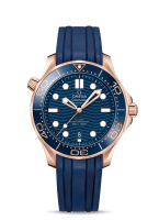 Omega Seamaster Diver 300m Co-axial Chronometer 42mm 210.62.42.20.03.001