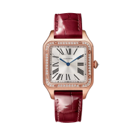 Cartier Santos Dumont Large 31 WJSA0016