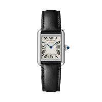 Cartier Tank Must Small 22 WSTA0060