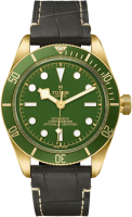 Tudor Heritage Black Bay 39mm M79018V-0001