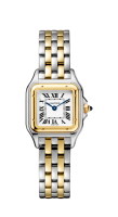 Cartier Panthère Secrete Ladies 22 W2PN0006