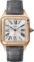Cartier Santos Dumont Large 31 WGSA0021