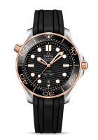Omega Seamaster Diver 300m Co-axial Chronometer 42mm 210.22.42.20.01.002