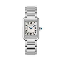 Cartier Tank Must Small 22 WSTA0051