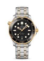 Omega Seamaster Diver 300m Co-axial Chronometer 42mm 210.20.42.20.01.002
